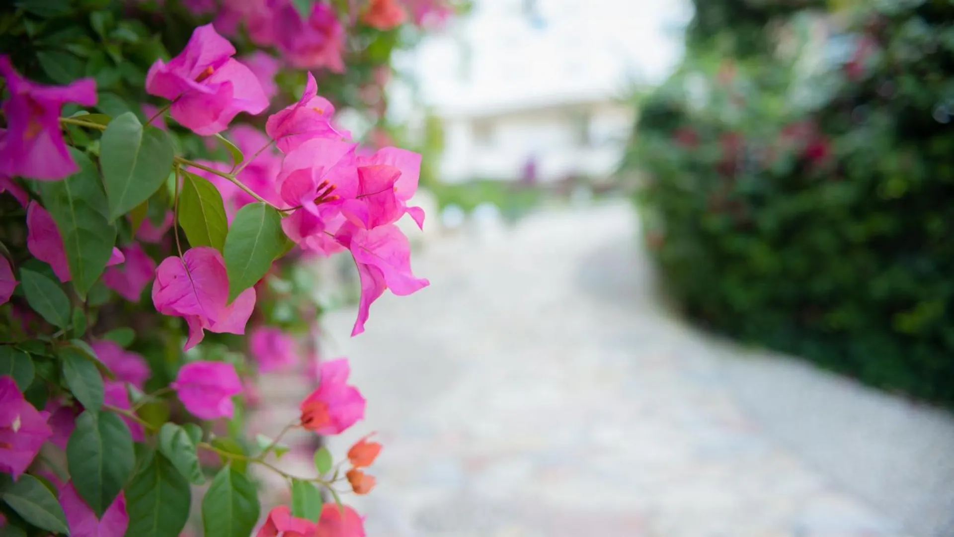 Bougainville Bay Apartments Sarandë Albanien